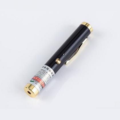 Mini penna laser verde ricaricabile USB 532nm 100mW